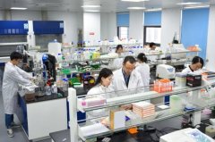 从技术突围到标准主导：浙江医药领跑叶黄素产业
